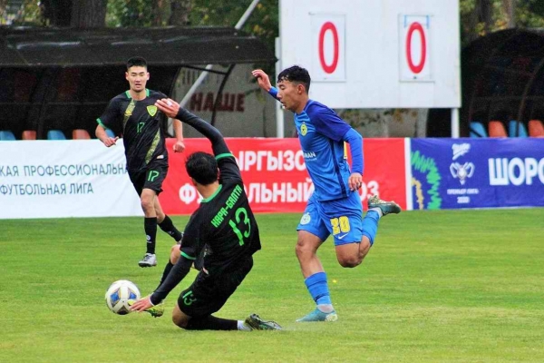 photo_8