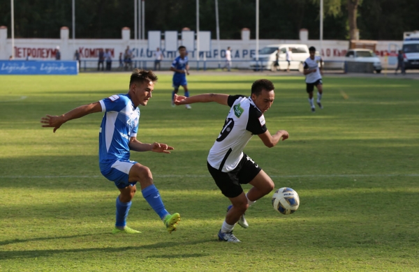 photo_6