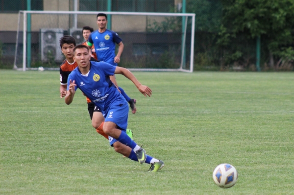 photo_8