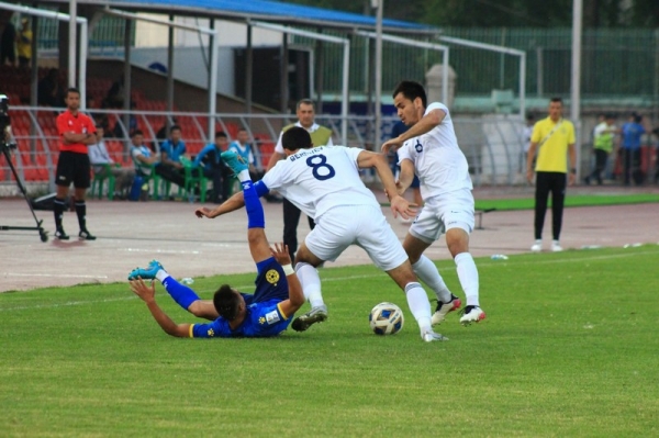 photo_8