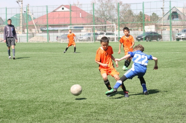 photo_11