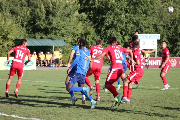 photo_8