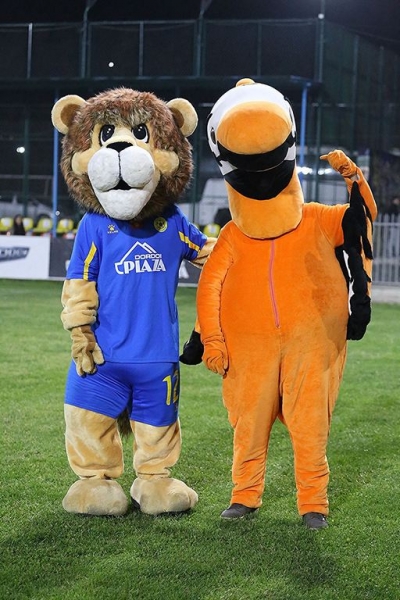 photo_8