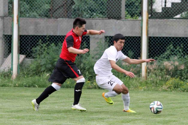 photo_3