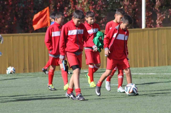 photo_11