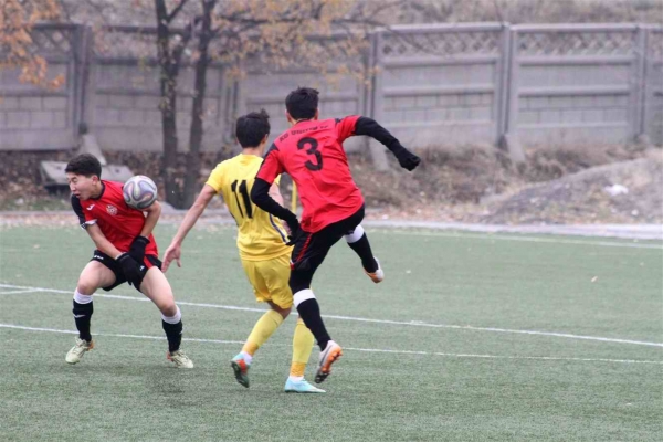 photo_19