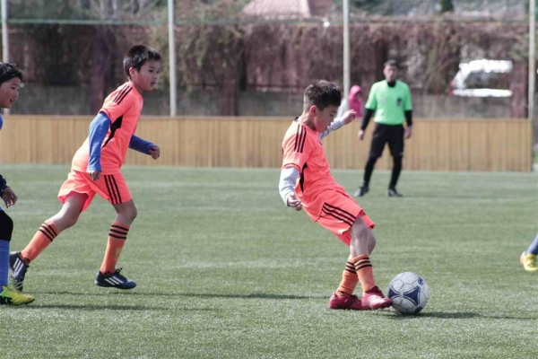 photo_26