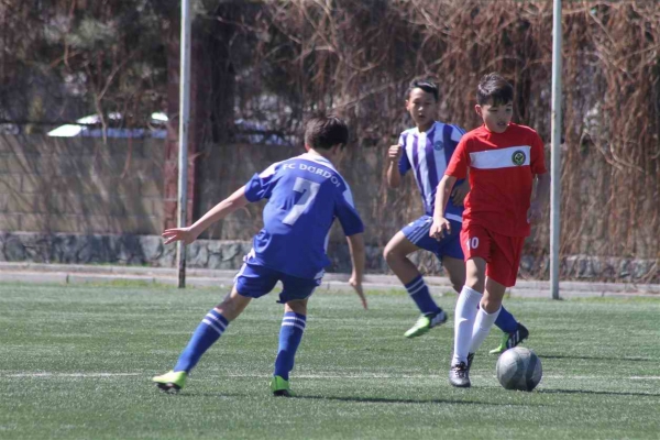 photo_3