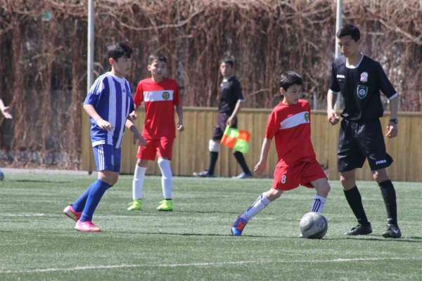 photo_4