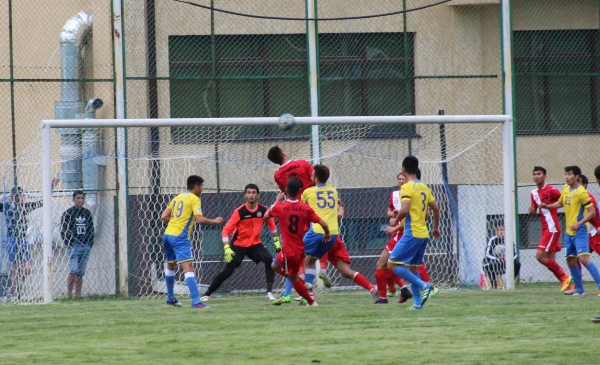 photo_8