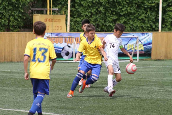 photo_11