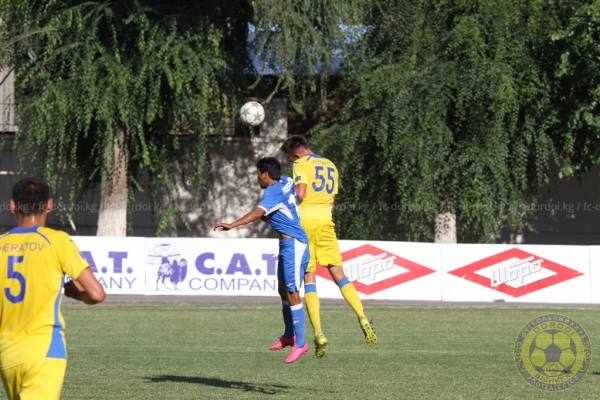 photo_11
