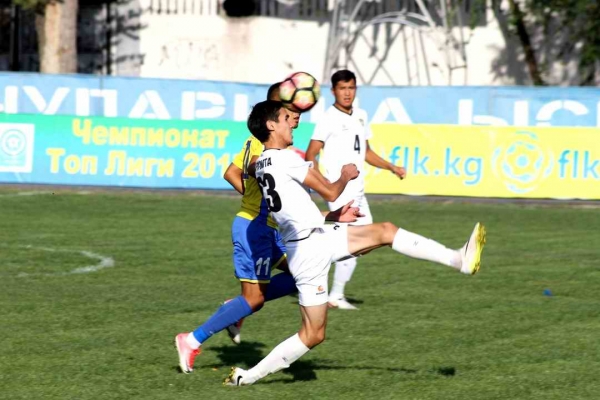 photo_8