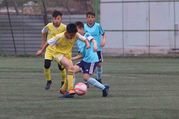 photo_43