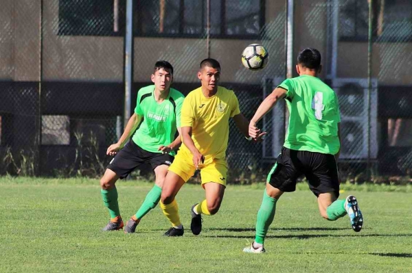 photo_1